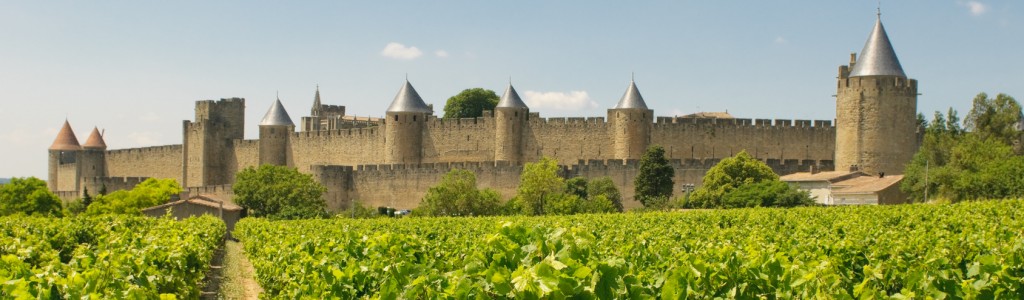 Carcassonne and vineyards