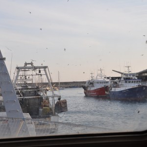 visite chalutier Louis Nocca Sète