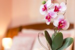 HC-chambre5_07