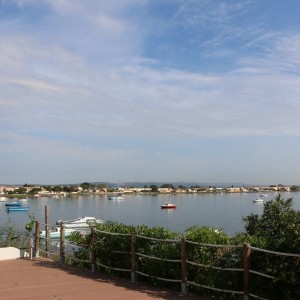 Cormorans etang de Thau C
