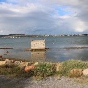 IMG_0902