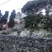 South Lodge PL