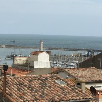 T2 Bonnet
