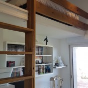 cormorans b