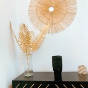 location-appartement-sete-havan-016