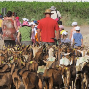 visite-thau_0006