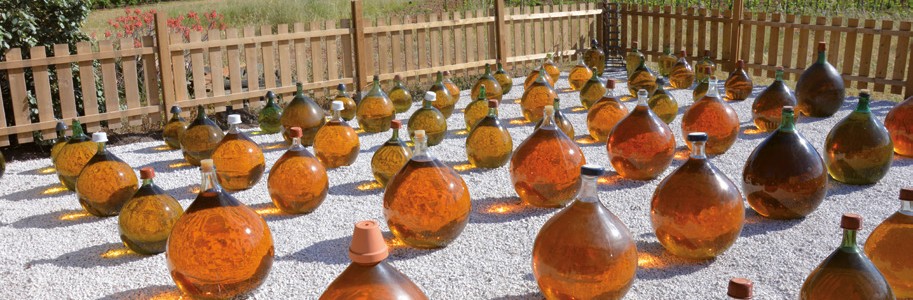 visite-thau_0018