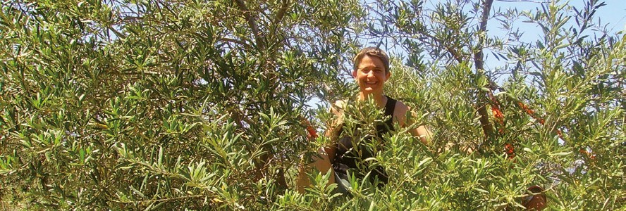 visite-thau_0020