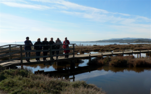 Etang de Bages