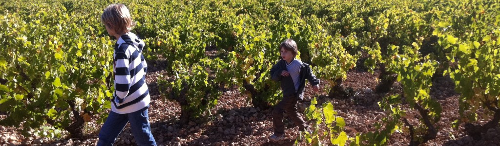 enfants vigne