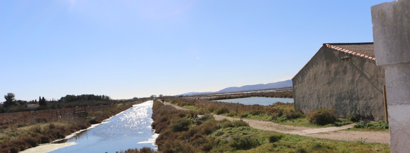 salins