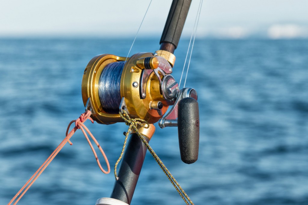 sortie pêche en mer à Sète 7h-11h 25€/pers.