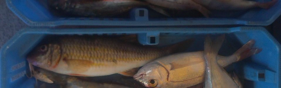 peche